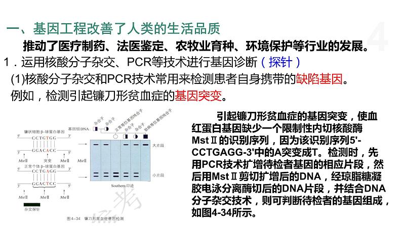 4.2 基因工程及其延伸技术应用广泛 课件 高中生物新浙科版选择性必修3第4页