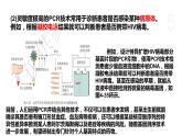 4.2 基因工程及其延伸技术应用广泛 课件 高中生物新浙科版选择性必修3