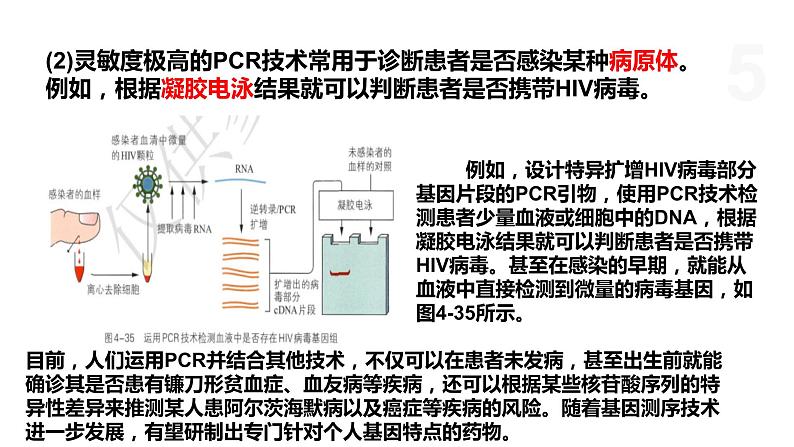 4.2 基因工程及其延伸技术应用广泛 课件 高中生物新浙科版选择性必修3第5页
