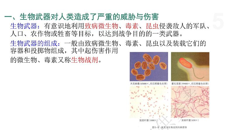 5.3 世界范围内应全面禁止生物武器 课件 高中生物新浙科版选择性必修3第5页