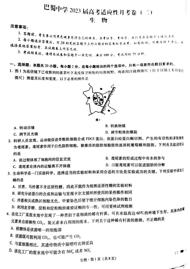 重庆市巴蜀中学校2022-2023学年高三上学期适应性月考卷（二）生物试题及答案01