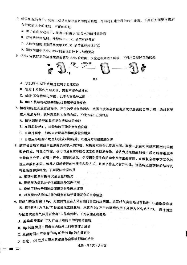 重庆市巴蜀中学校2022-2023学年高三上学期适应性月考卷（二）生物试题及答案02