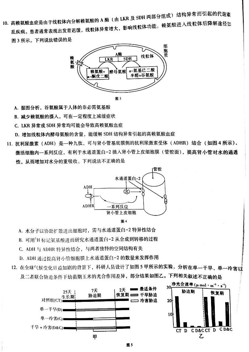 重庆市巴蜀中学校2022-2023学年高三上学期适应性月考卷（二）生物试题及答案03