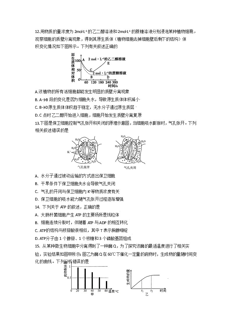 四川省成都市第七中学2023届高三上学期零诊模拟考试  生物  Word版含答案03