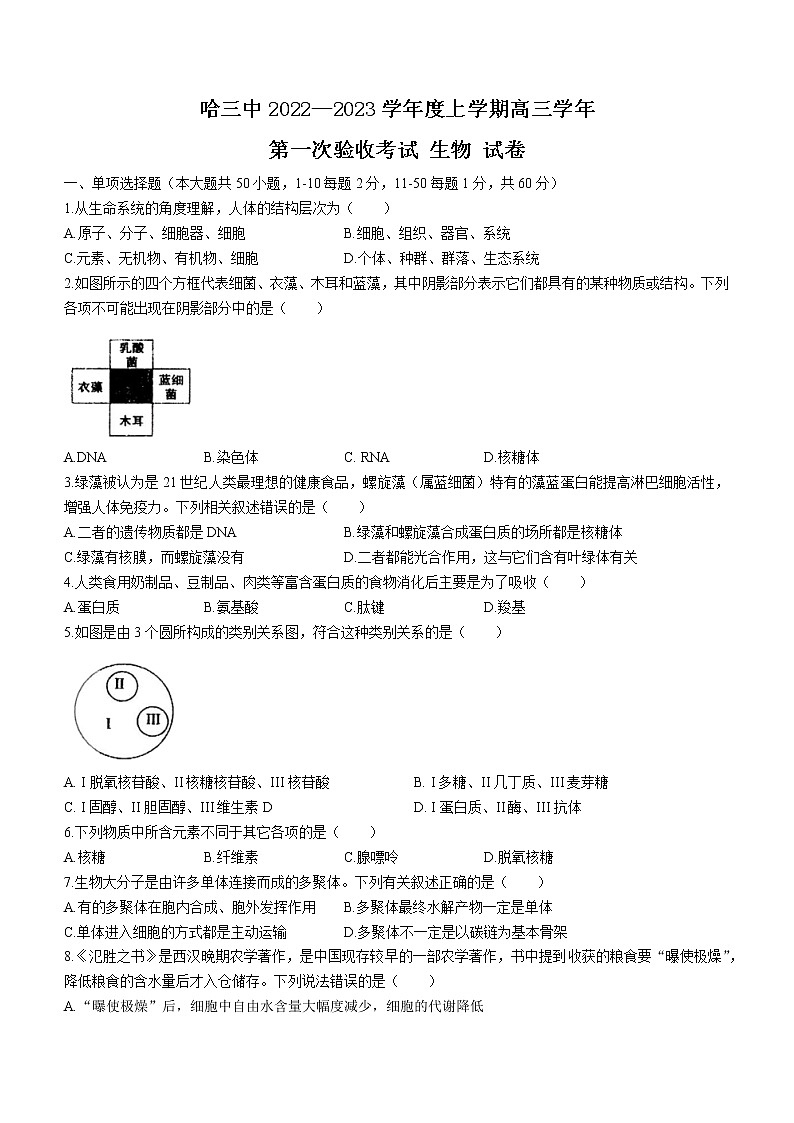 黑龙江省哈尔滨三中2022-2023学年上学期高三第一次验收 生物试卷及答案01