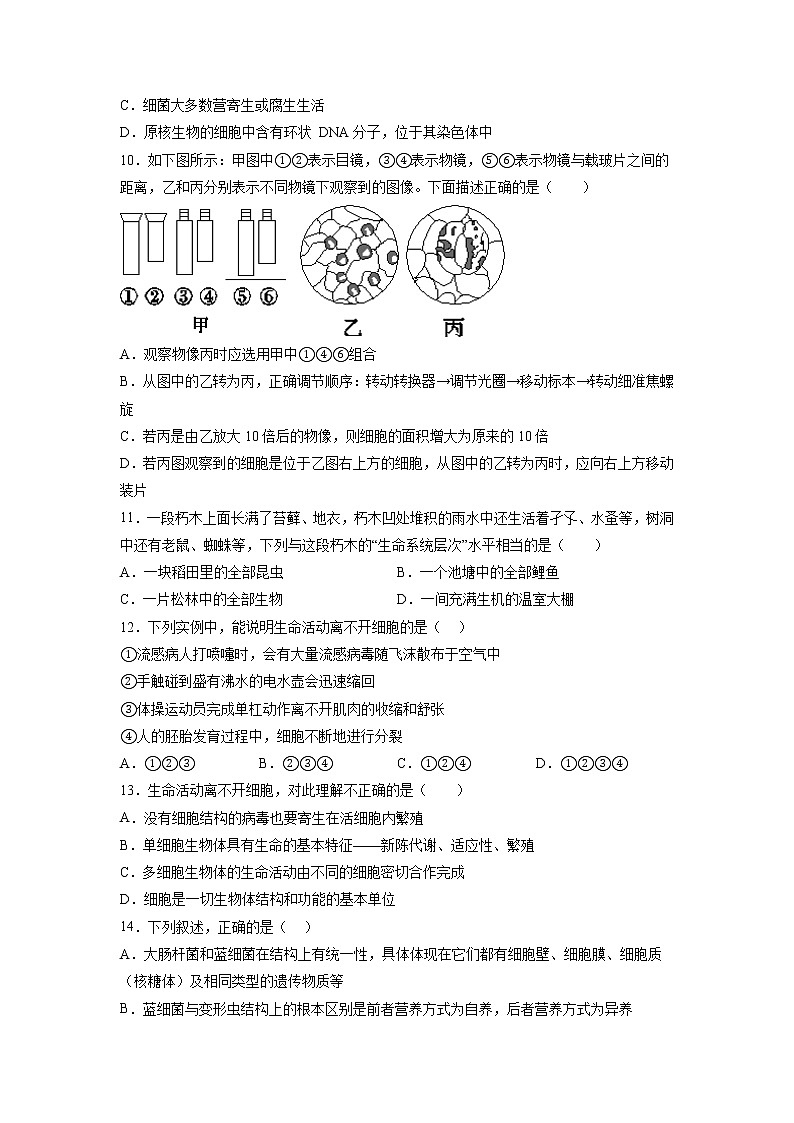 河南省宁陵县高级中学2022-2023学年高一上学期第一次月考生物试题（含答案）03