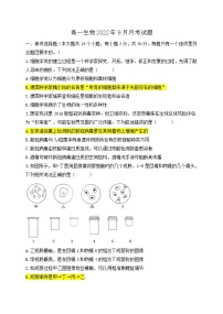 山东省高密市第三中学（创新学院）2022-2023学年高一上学期开学检测生物试题（含答案）