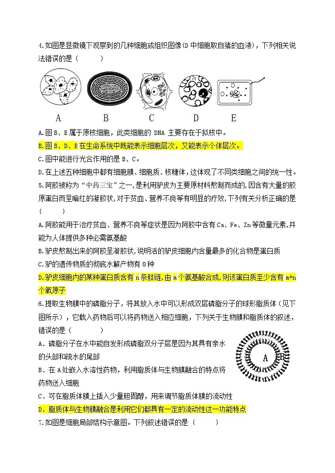 山东省高密市第三中学（创新学院）2022-2023学年高一上学期开学检测生物试题（含答案）02