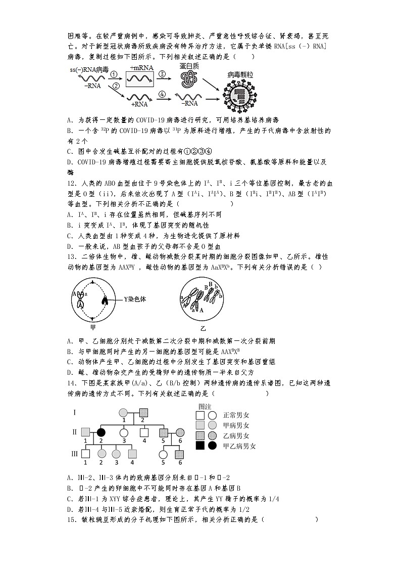 湖南省邵阳市第二中学2022-2023学年高二上学期入学考试生物试题（含答案）03