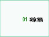 1.2 细胞的多样性和统一性（课件+练习）-2022-2023学年高一上学期生物人教版（2019）必修1