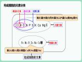 2.1 细胞中的元素和化合物（课件+练习）-2022-2023学年高一上学期生物人教版（2019）必修1