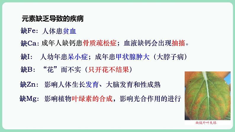 2.1 细胞中的元素和化合物（课件+练习）-2022-2023学年高一上学期生物人教版（2019）必修108