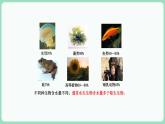 2.2 细胞中的无机物（课件+练习）-2022-2023学年高一上学期生物人教版（2019）必修1