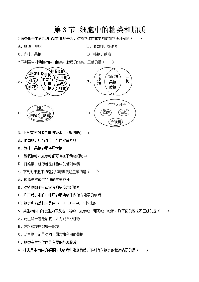 2.3 细胞中的糖类和脂质（课件+练习）-2022-2023学年高一上学期生物人教版（2019）必修101