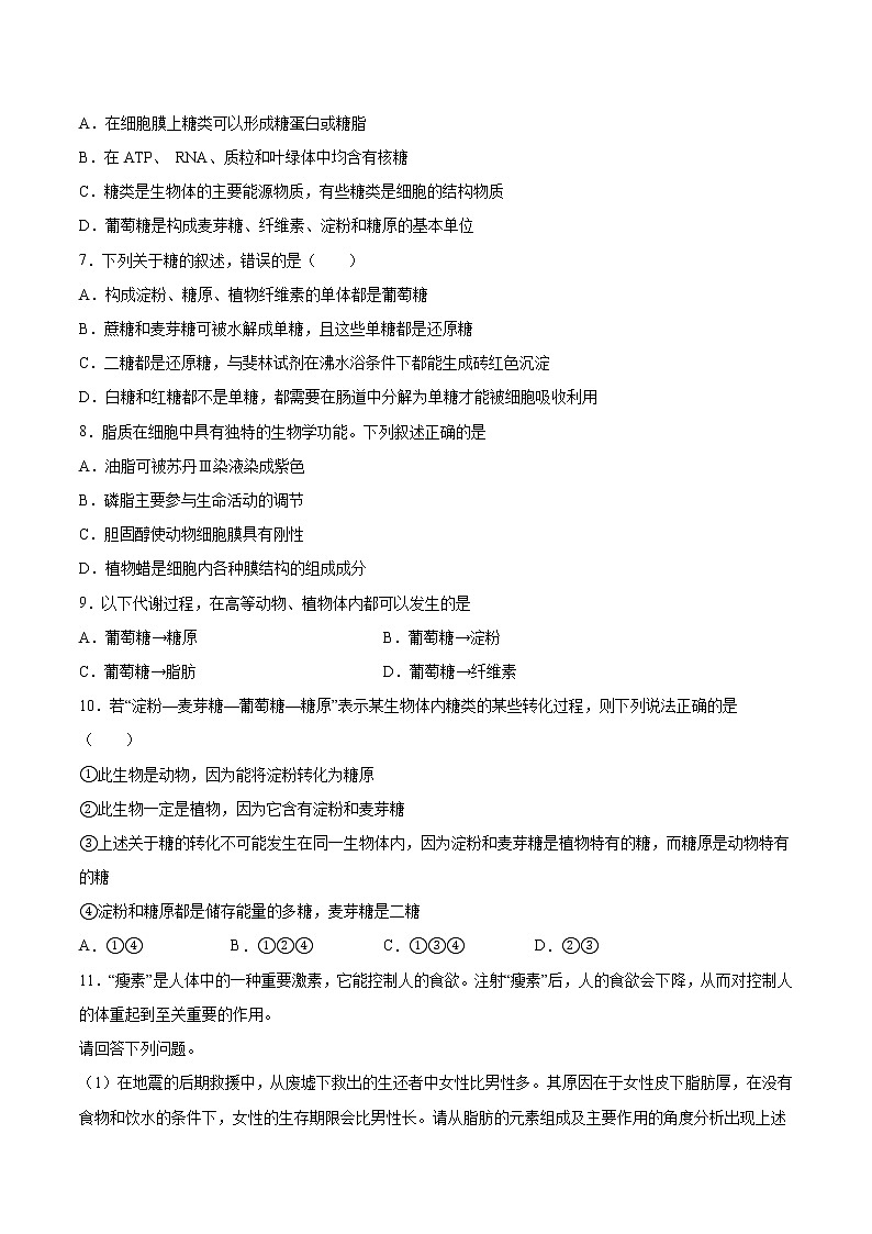 2.3 细胞中的糖类和脂质（课件+练习）-2022-2023学年高一上学期生物人教版（2019）必修102