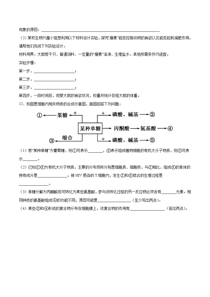 2.3 细胞中的糖类和脂质（课件+练习）-2022-2023学年高一上学期生物人教版（2019）必修103
