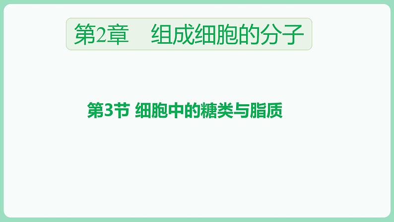 2.3 细胞中的糖类和脂质（课件+练习）-2022-2023学年高一上学期生物人教版（2019）必修101