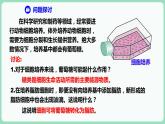 2.3 细胞中的糖类和脂质（课件+练习）-2022-2023学年高一上学期生物人教版（2019）必修1