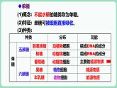 2.3 细胞中的糖类和脂质（课件+练习）-2022-2023学年高一上学期生物人教版（2019）必修1