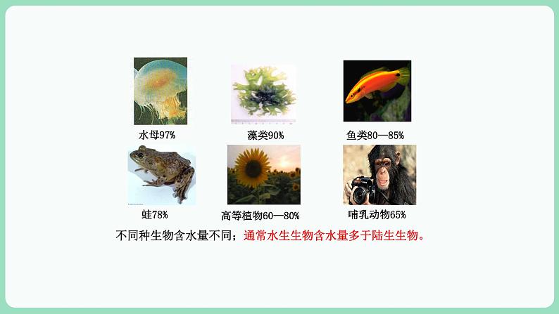 2.3 细胞中的糖类和脂质（课件+练习）-2022-2023学年高一上学期生物人教版（2019）必修105