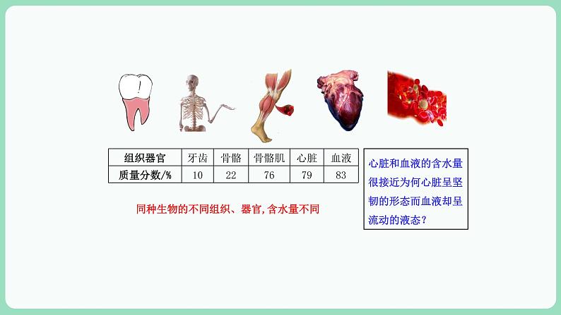 2.3 细胞中的糖类和脂质（课件+练习）-2022-2023学年高一上学期生物人教版（2019）必修107