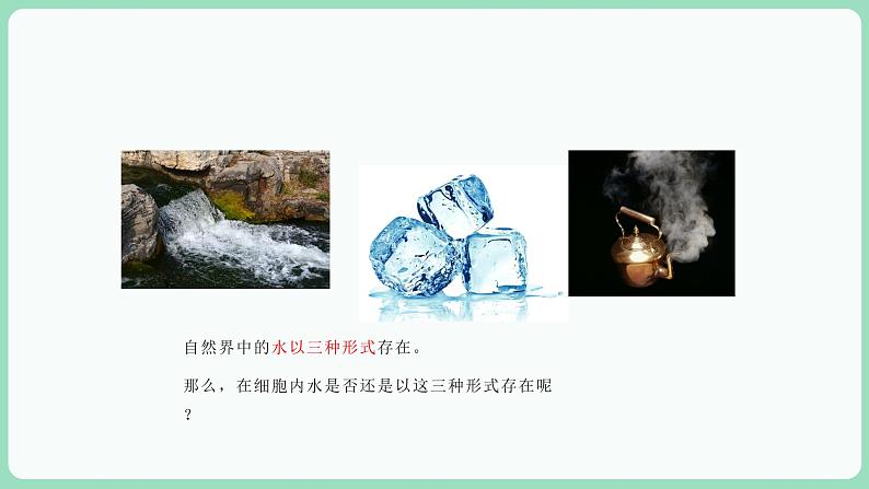 2.3 细胞中的糖类和脂质（课件+练习）-2022-2023学年高一上学期生物人教版（2019）必修108