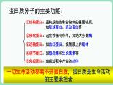 2.4 蛋白质是生命活动的主要承担者（课件+练习）-2022-2023学年高一上学期生物人教版（2019）必修1