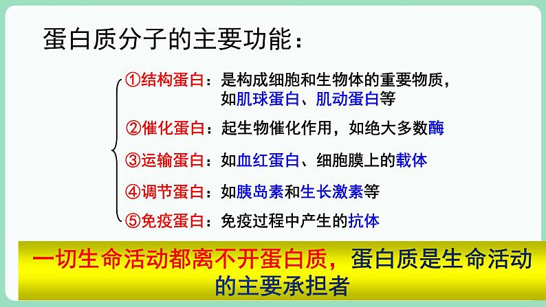 第2章第4节蛋白质是生命活动的主要承担者第5页