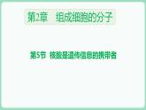 2.5 核酸是遗传信息的携带者（课件+练习）-2022-2023学年高一上学期生物人教版（2019）必修1