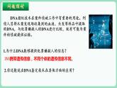 2.5 核酸是遗传信息的携带者（课件+练习）-2022-2023学年高一上学期生物人教版（2019）必修1