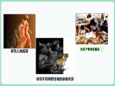 2.5 核酸是遗传信息的携带者（课件+练习）-2022-2023学年高一上学期生物人教版（2019）必修1