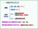 2.5 核酸是遗传信息的携带者（课件+练习）-2022-2023学年高一上学期生物人教版（2019）必修1