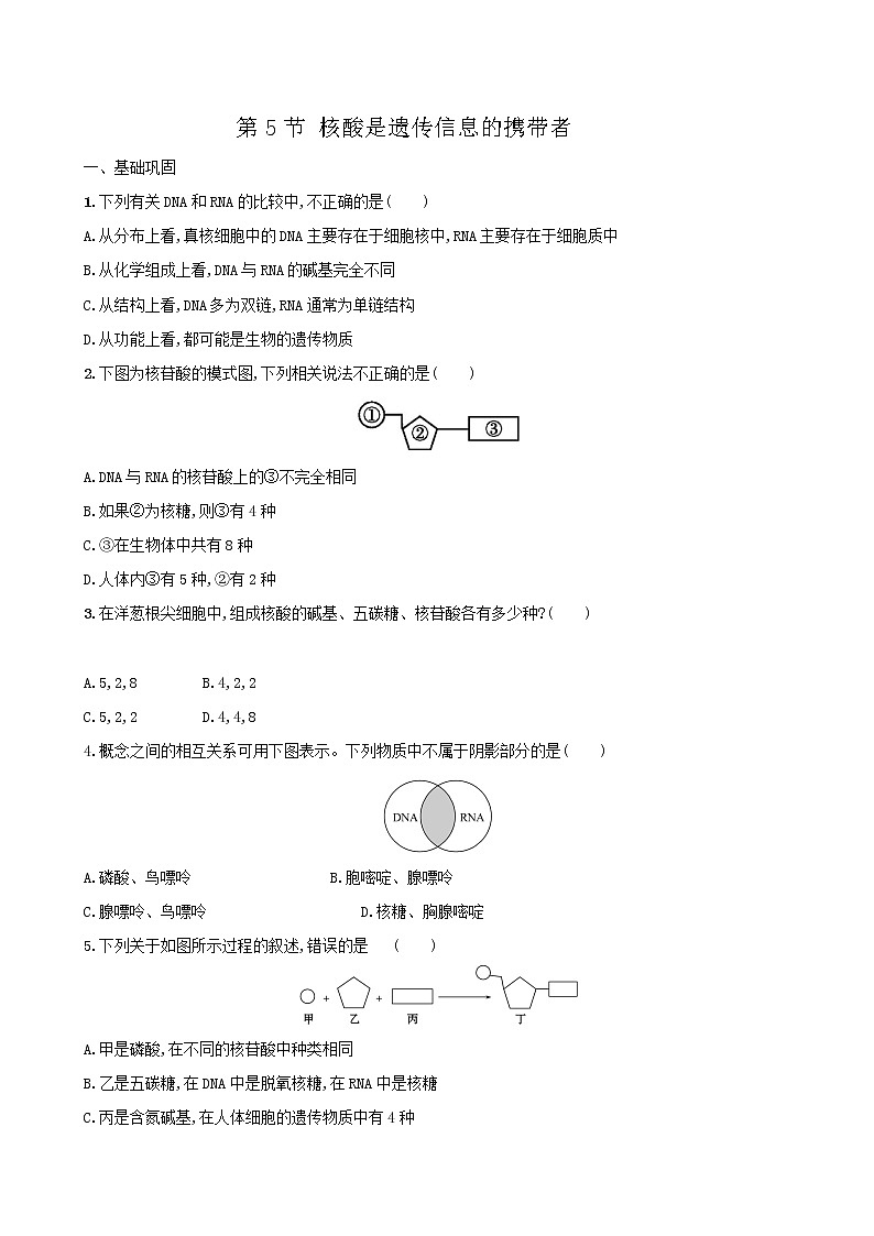第2章第5节核酸是遗传信息的携带者第1页