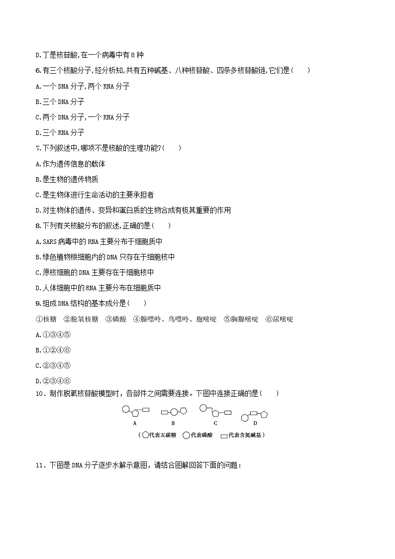 第2章第5节核酸是遗传信息的携带者第2页