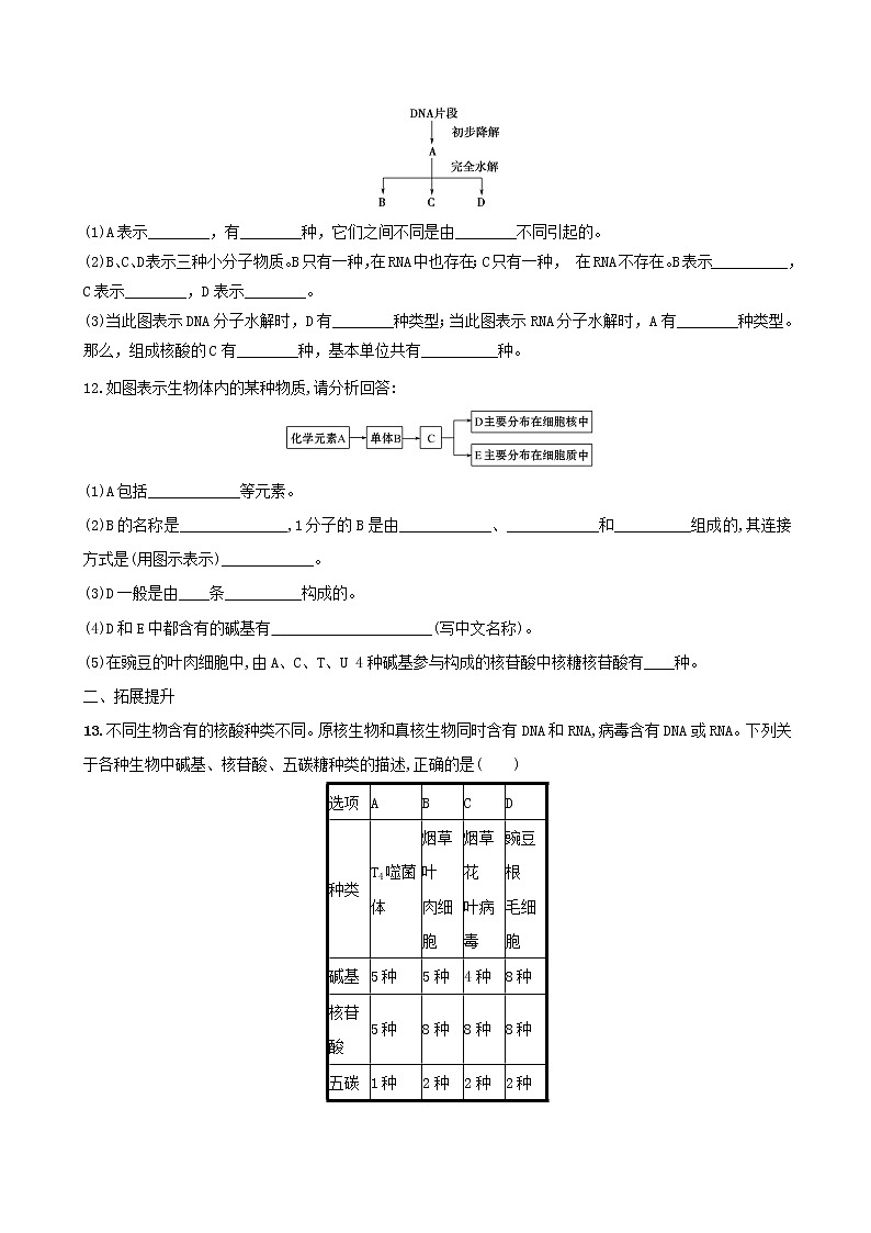 第2章第5节核酸是遗传信息的携带者第3页