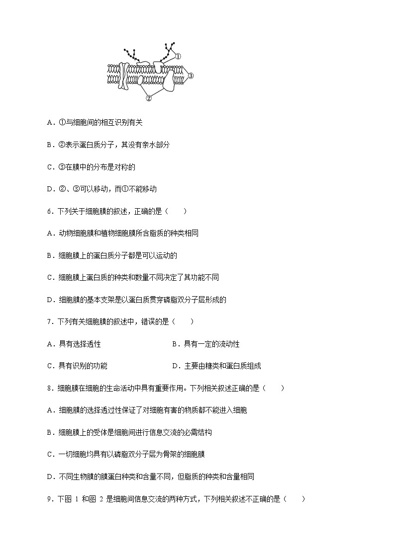 第3章第1节细胞膜的结构和功能第2页