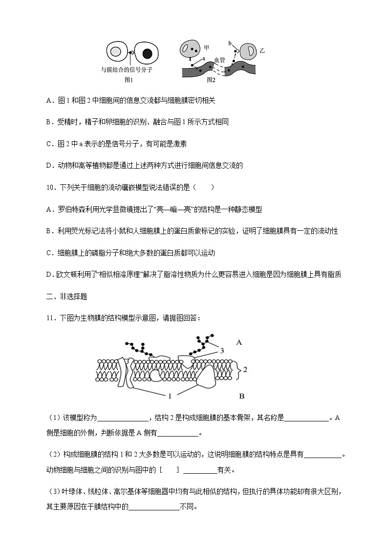 第3章第1节细胞膜的结构和功能第3页