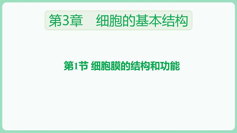 3.1 细胞膜的结构和功能（课件+练习）-2022-2023学年高一上学期生物人教版（2019）必修101