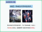 3.1 细胞膜的结构和功能（课件+练习）-2022-2023学年高一上学期生物人教版（2019）必修1