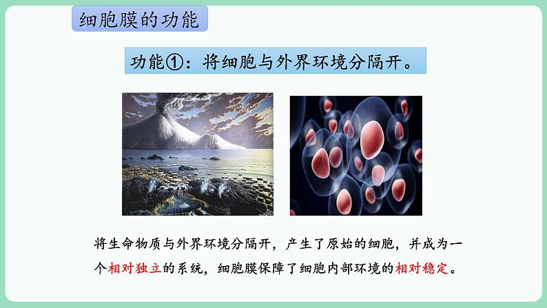 3.1 细胞膜的结构和功能（课件+练习）-2022-2023学年高一上学期生物人教版（2019）必修103