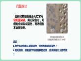 3.1 细胞膜的结构和功能（课件+练习）-2022-2023学年高一上学期生物人教版（2019）必修1