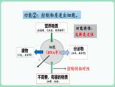 3.1 细胞膜的结构和功能（课件+练习）-2022-2023学年高一上学期生物人教版（2019）必修1