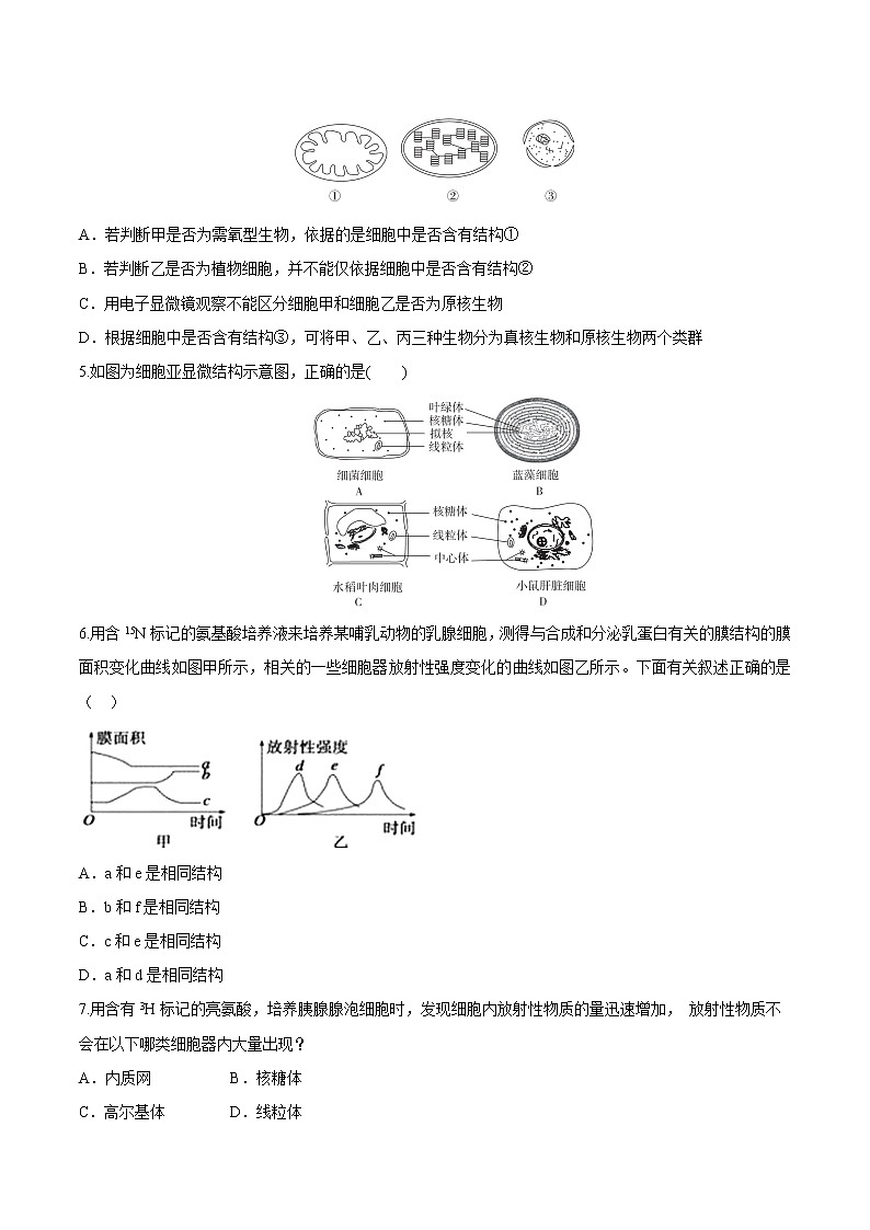 第3章第2节细胞器之间的分工合作第2页