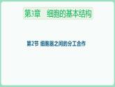 3.2 细胞器之间的分工合作（课件+练习）-2022-2023学年高一上学期生物人教版（2019）必修1