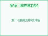 3.3 细胞核的结构和功能（课件+练习）-2022-2023学年高一上学期生物人教版（2019）必修1