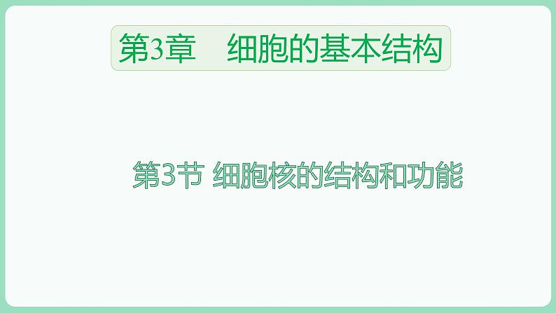 3.3 细胞核的结构和功能（课件+练习）-2022-2023学年高一上学期生物人教版（2019）必修101