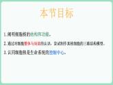 3.3 细胞核的结构和功能（课件+练习）-2022-2023学年高一上学期生物人教版（2019）必修1