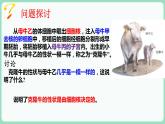 3.3 细胞核的结构和功能（课件+练习）-2022-2023学年高一上学期生物人教版（2019）必修1