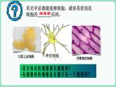 3.3 细胞核的结构和功能（课件+练习）-2022-2023学年高一上学期生物人教版（2019）必修1
