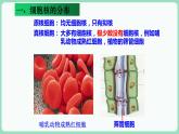 3.3 细胞核的结构和功能（课件+练习）-2022-2023学年高一上学期生物人教版（2019）必修1